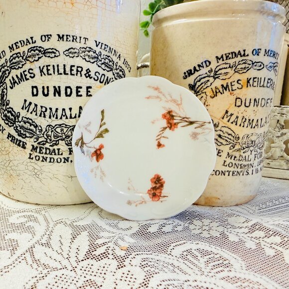 Limoges Other - Vintage French Butter Pat